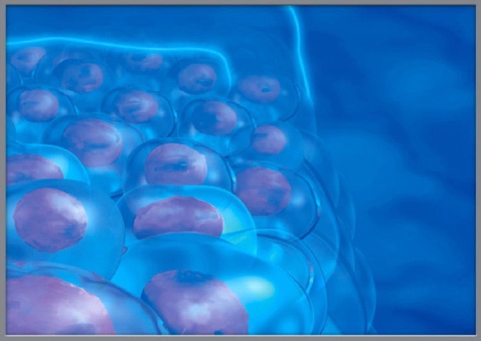 Detail der wissenschaftlichen Illustration zur Aromatase-Hemmung gegen Brustkrebs in hoher Auflösung (8k) für print und multimedia