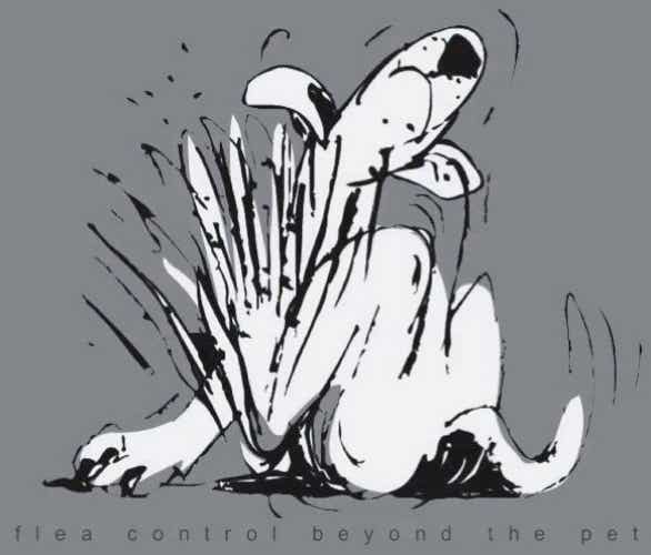 Karikatur: 'Hund kratzt sich Flöhe aus juckendem Fell' – Plakat für Tierärzte © Michael Buckler
