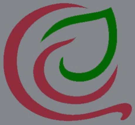 Logo 'Transdermale Hormon-Substitution' (Rundpflaster von Ciba-Geigy / NOVARTIS) – Design: Michael Buckler, Germany